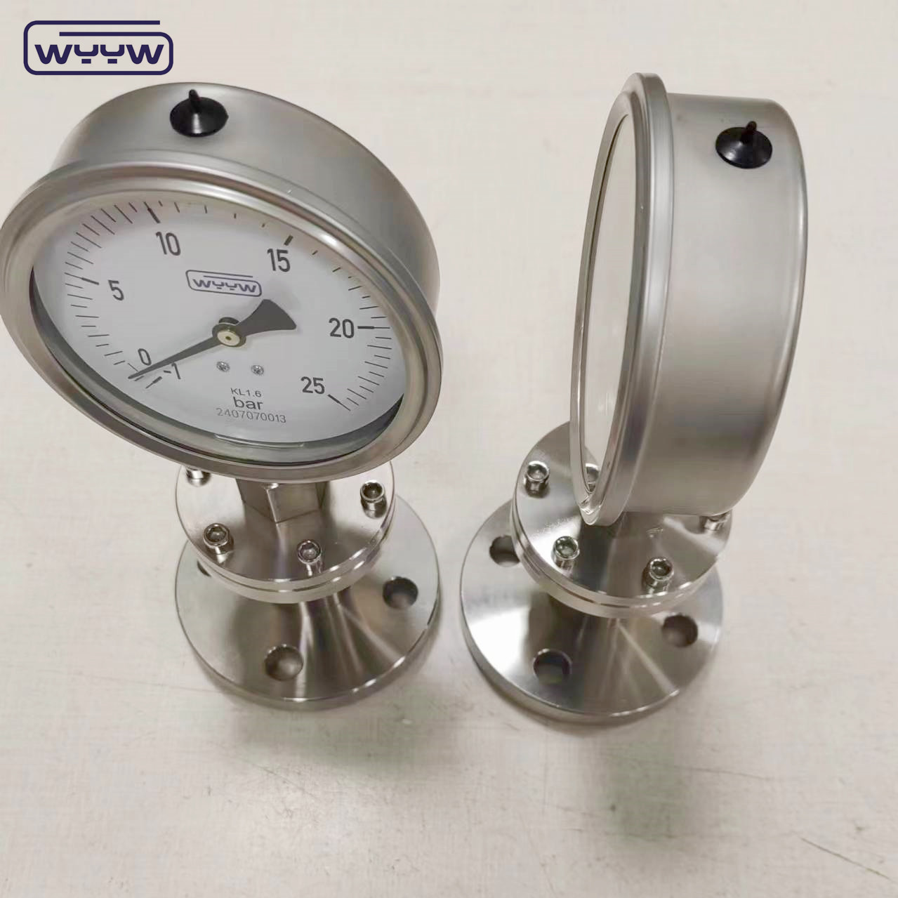Customized Diaphragm Metering Dosing Pump Oem For BSP G Thread Standard