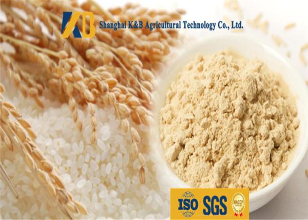Buy cheap Non Allergen Lactose Free Rice Protein Nutrition For Healthy Food Addictive from wholesalers