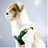 Buy cheap Anti Lost Pet Vest Harness Soft Safety Neoprene Wear Resistant from wholesalers