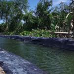 0.3mm-3.0mm Thickness HDPE Geomembrane for Dam Liner Reservoir Mining Shrimp