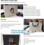 Fancy Shopping Paper Gift Bag packaging paper bag With Handles of packaging
