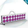 Buy cheap energy saving lamp indoor hydroponics apollo18 led grow lights/1000w grow light hydroponic from wholesalers