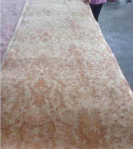 Buy cheap Golden Camphor Burl Paper Backed Veneer, Paper Backed Burl Veneer from wholesalers