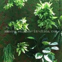 Buy cheap Customized Artificial Moss for Kindergarten Backyard Park Landscaping Customized product