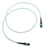 Buy cheap 12 Fiber OM3 MPO Trunk Cable Fiber Optic MTP Patch Cord LSZH 1M Type B from wholesalers