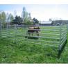 Buy cheap Galvanized 4ft 5ft 6ft 8ft Height Grassland Guard Agricultural Field Fence for Pasture from wholesalers