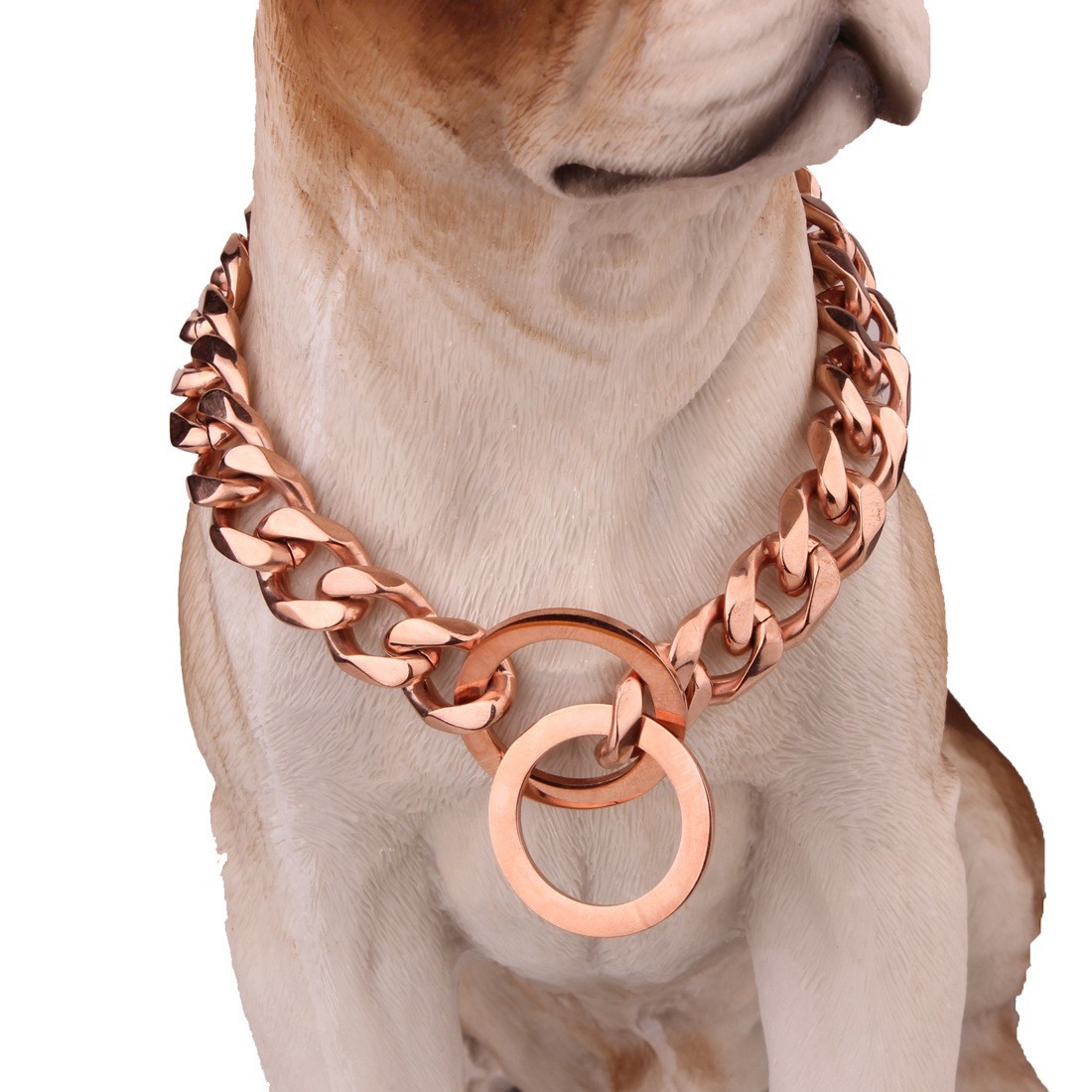 rose gold cat collar 
