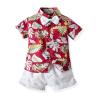 Buy cheap Short Sleeved Children's Outfit Sets Summer Shorts Cotton Kids Clothing from wholesalers