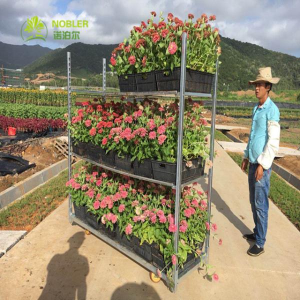 Buy cheap Steel Q235 1900mm Powder Coated Nursery Plant Trolleys from wholesalers