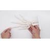 Buy cheap Human Life Size 3d Hand Skeleton Mode Flexible For Medical Demonstration from wholesalers