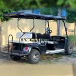 New Design 30mph Low Speed Vehicle Golf Cart 6 Passenger OEM Free Shipping Hot