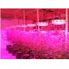 Buy cheap CIDLY super UFO led light 75*3W greenhouse 150w full spectrum UFO LED grow light for veget from wholesalers