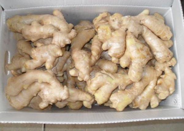 Buy cheap 250g Chinese no sprout Air Dried Ginger from wholesalers