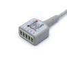 Buy cheap OEM Practical ECG Trunk Cable , Multifunctional ECG Cable 3 Lead from wholesalers