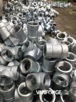 BS3799 Forged SS Socket Weld Cap Anti Corrosion Excellent Polishability