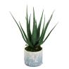 Buy cheap Plastic Artificial Aloe Vera For Indoor Decoration Fake Plants from wholesalers