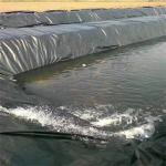 Flexible and Durable Black White Blue HDPE Rubber Pond Pool Sheet for Artificial