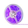 Buy cheap Flexible Smart Rgb Led Strip , Alexa Controlled Led Strip 1 Year Warranty from wholesalers