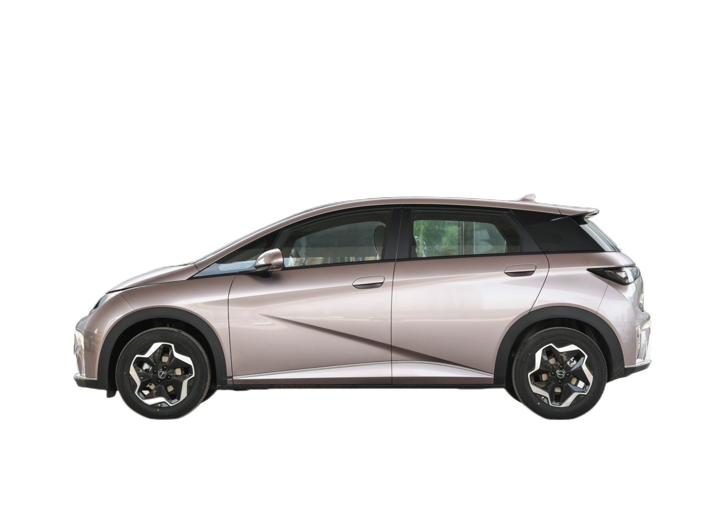 BYD Dolphin New Energy Electric Vehicle Automatic Motors 4 Seater
