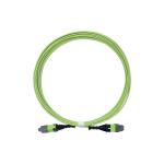 KEXINT 12 Core OM5 Fiber Optic Patch Cord MTP Pro Female 2.0mm 5M Type B