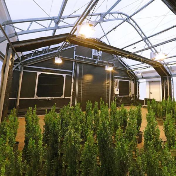 Pc Sheet Cannabis Blackout Light Deprivation Greenhouse Agriculture Plants