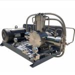 Gas Refrigerante R22 Car Ac Recharge R134a Recycling Butane Recovery Pump