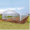 Buy cheap Polycarbonate PC Board Greenhouse High Tunnel Plastic Film Side Ventilation Single-Span Greenhouse from wholesalers