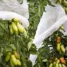 Buy cheap Pp Non Woven Anti Insect 35gsm Fruit Protection Net Bags from wholesalers