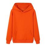 OEM Hoodies Custom Embroidery With Logo Printed sweatshirt hoodie for men womem