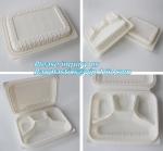 Food Serving Compartment Tray, Food Meat Packaging Tray, eco friendly vegetable