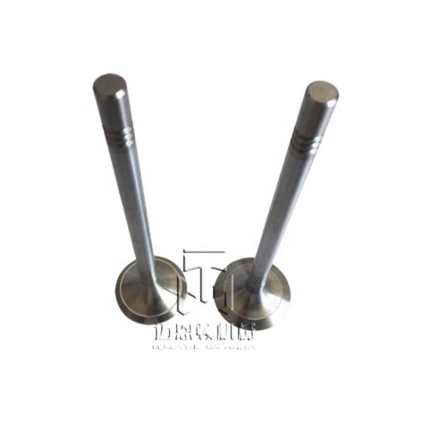 Buy cheap Inlet Valve And Exhaust Valve 04903005 04900685 0490 3005 0490 0685 4903005 For TCD2013 4V TAD561 TAD560 from wholesalers