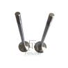 Buy cheap Inlet Valve And Exhaust Valve 04903005 04900685 0490 3005 0490 0685 4903005 For TCD2013 4V TAD561 TAD560 from wholesalers