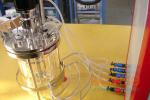Buy cheap Jacketed Lab Scale Bioreactor , Bioreactor Fermentor Benchtop Structure from wholesalers