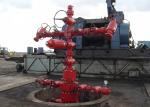 Oil Well Christmas Tree Equipment , Gas Production / Oilfield Christmas Tree API