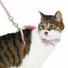 Buy cheap Breakaway Safety Cat Harness Collar , Personalized Cat Collars Polyester Webbing from wholesalers