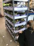 Danish Trolley Flower Hand Trolley Plastic Shelf Supermarket Exclusive Use