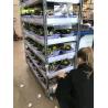 Buy cheap Metal Danish Flower Trolley Pull Net Danish Trolley For Transport from wholesalers