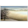 Buy cheap 60hz 21.5" High Color Gamut LCD Screen Lvds Interface 30 Pins 250 Nits 1920x1080 from wholesalers