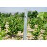 Buy cheap Steel Square / Bevelled Plant Support Posts 1.5mm Thickness Erosion Resistant from wholesalers