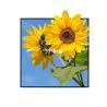Buy cheap 22 Inch Advertising Square LCD Display NFT 450nits 1920x1920 from wholesalers