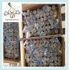 Buy cheap Fresh Dry Normal White Red Purple China Garlic fresh Chinese garlic from wholesalers