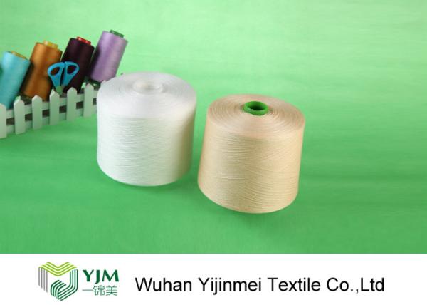 Buy cheap Colorful Dyed / White Polyester Weaving Yarn Z Twist Paper Or Plastic Core from wholesalers