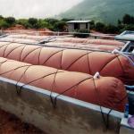 Red Mud Biogas Collection Cover Aging Resistance For Farm