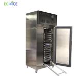 China Supplier Industrial Low Temperature 178 L Fast Cooling Blast Freezer