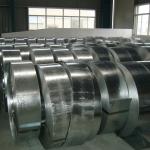 Galvanized Steel Strip Cold Rolled Mild Steel Customize Dx51d Zinc Steel Tape