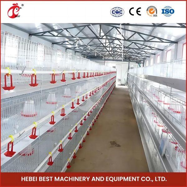 Buy cheap Hot Galvanized Automatic Pullet Baby Chick Brooder Cage 192 Birds 1.2m Length Mia from wholesalers