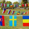 Buy cheap Digital Printing String Flag Colorful Bunting Material Flags from wholesalers