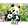 Buy cheap Custom 3D Lenticular Printing 60*80cm / Wall Poster 3D Animals Photos from wholesalers