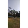 Buy cheap Big Natural Wind Pole Mounted Outdoor Fan Weather Proof For Parks 5 Blades from wholesalers