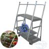 Buy cheap Metal Wooden Flower Display Rack Succulent Pot Stand Display Rack Folding from wholesalers